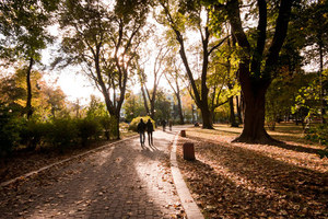 Thumb_mariinskiy-park_2